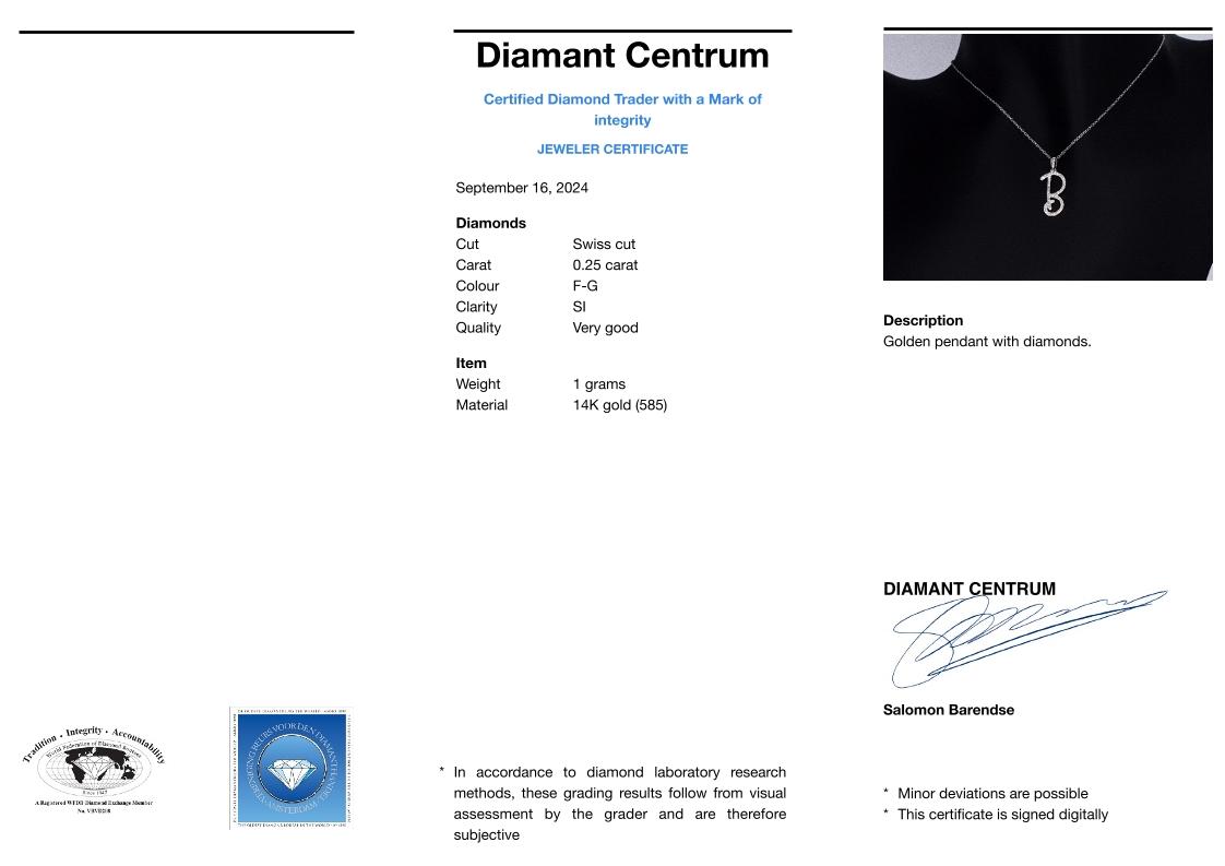 foto 5 Hanger diamanten